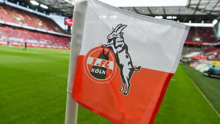 Der 1. FC Köln strebt nach Europa.