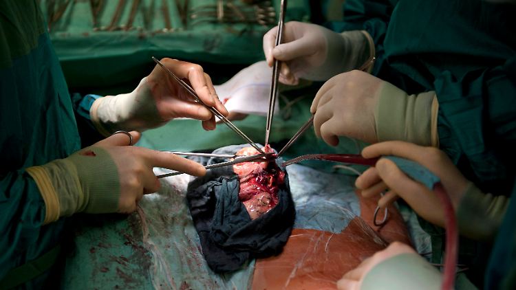 Mit Transplantationen können auch Patienten gerettet werden, deren Lungen durch Covid-19 schwer geschädigt sind.