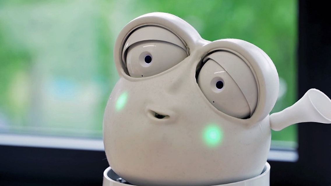 roboterfrosch.jpg