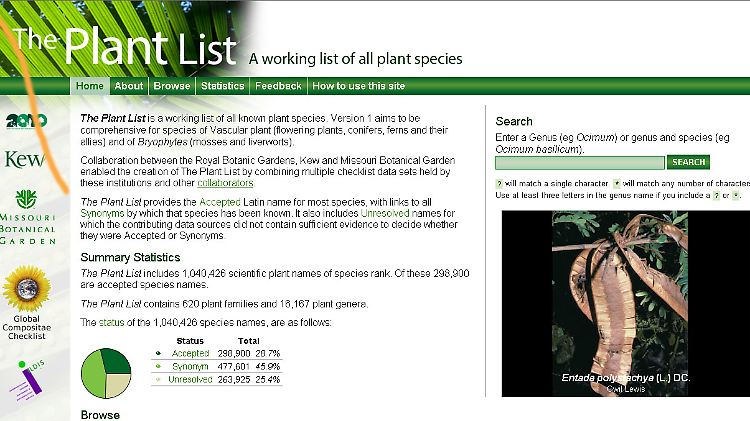 Alle Pflanzen sind im Internet auf www.theplantlist.de aufgelistet.