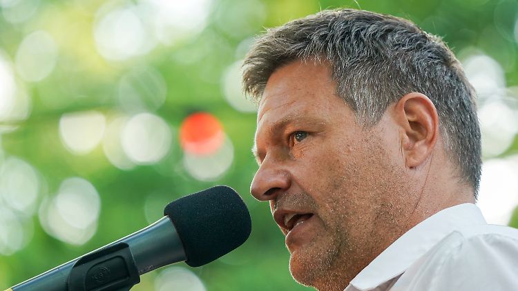 Grünen-Chef Habeck beim Wahlkampfendspurt seiner Partei in Halle. 