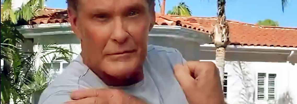 Hasselhoff.jpg