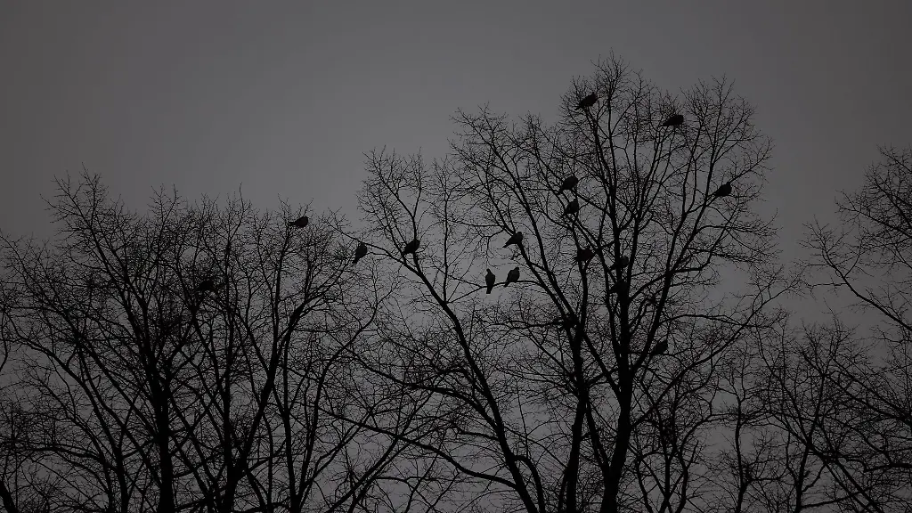 Am-Montag-erwartet-der-Deutsche-Wetterdienst-DWD-stellenweise-etwas-Spruehregen