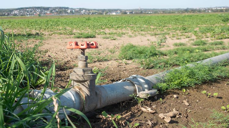 Bereits jetzt kämpfen viele deutsche Regionen mit Wasserknappheit.