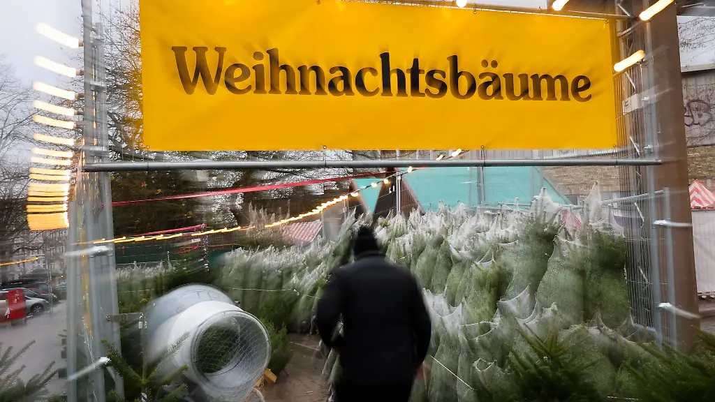 Christbaumverkauf-In-Bamberg-wurden-an-einem-anderen-Stand-80-bis-100-Baeume-entwendet