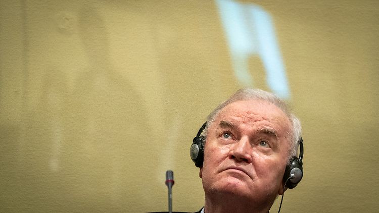 Unter Mladics Führung hatten serbische Truppen 1995 die UN-Schutzzone Srebrenica überrannt.