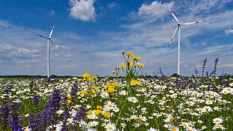 "Erneuerbare Energien sind bereits heute kostengünstig", sagt Patrick Graichen. "Nun geht es darum, ausreichend Flächen für den nötigen Ausbau von Wind- und Sonnenenergie bereitzustellen."