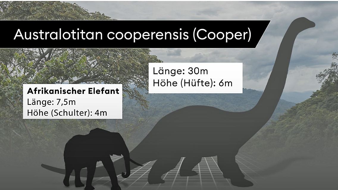 cooper.jpg