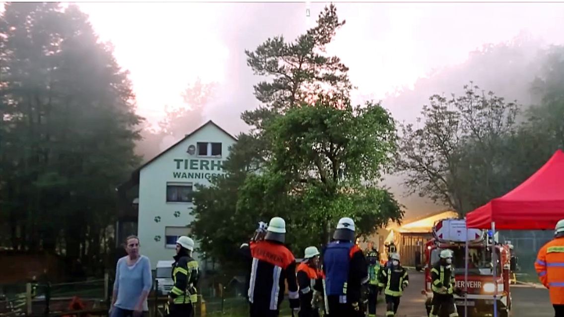 tierheim.jpg