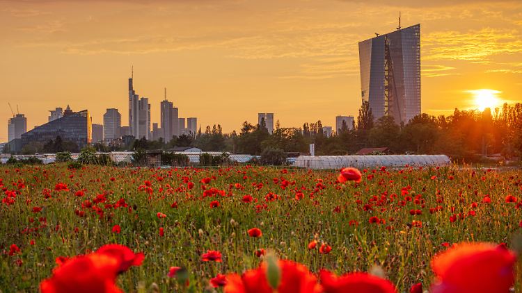 Sorgloses Frühsommersommeridyll vor dem EZB-Hauptsitz in Frankfurt am Main.