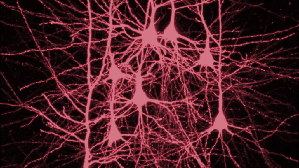 Nicht-weiterverwenden