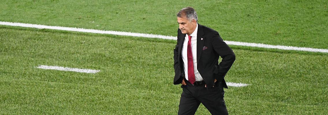 244681986.jpg