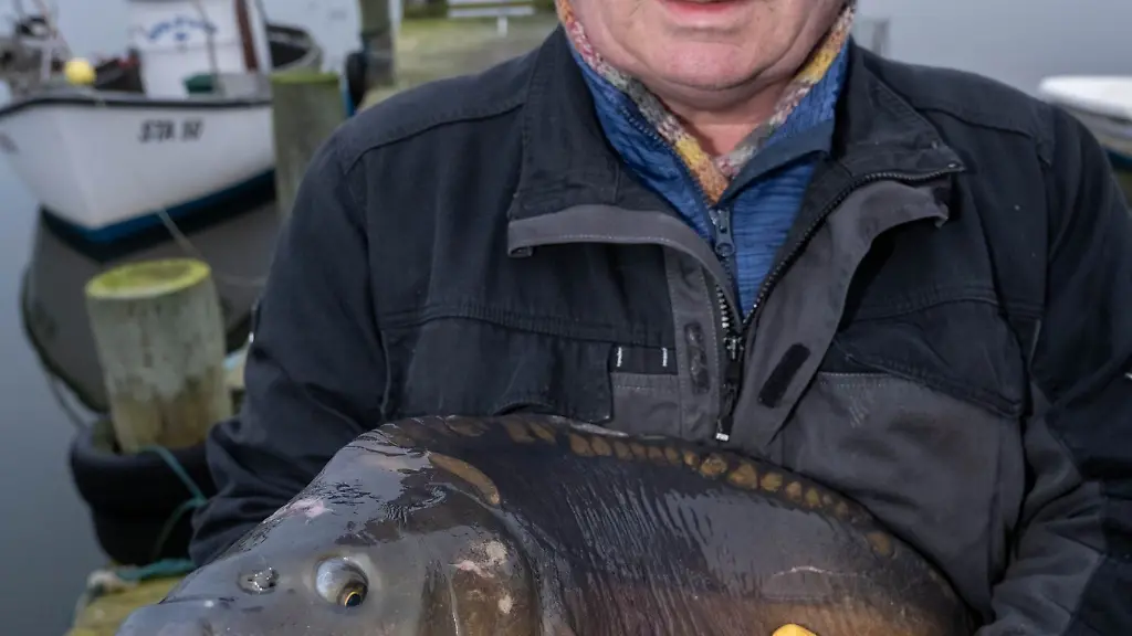 Der-Karpfen-ist-der-Weihnachts-und-Silvesterfisch-sagt-Fischer-Krehl