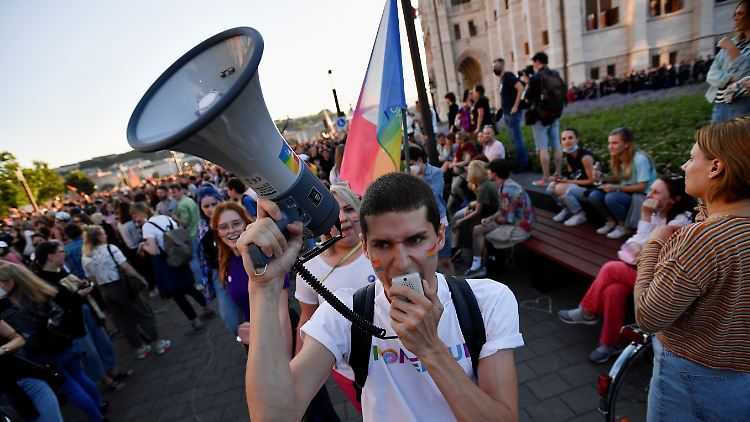 Tausende demonstrierten in Budapest gegen ein homofeindliches Gesetz. 