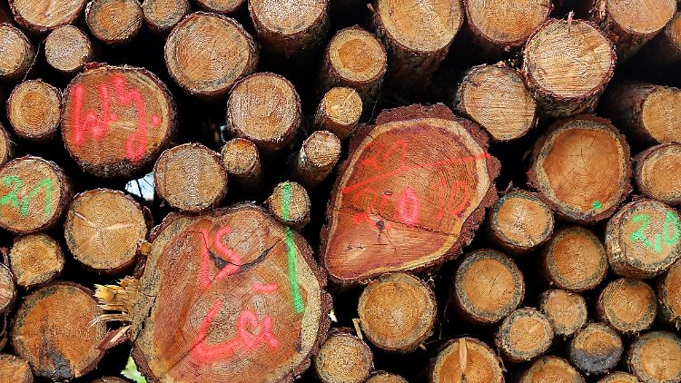 Vor allem die höheren Holzpreise machen etlichen Bauherren zu schaffen.