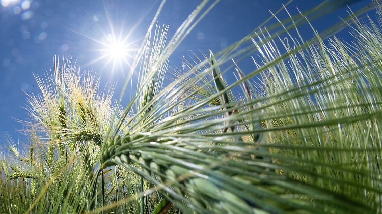 Mehrere Tage mit Temperaturen von mehr als 30 Grad Celsius stehen an.