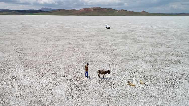 Die zunehmende Dürre durch den Klimawandel wird zu einem immer größeren Problem für Mensch und Tier.  Die Versicherungsbranche hat bereits staatliche Zuschüsse für eine entsprechende Dürreversicherung gefordert.  