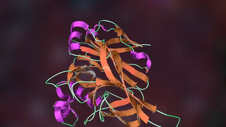 Die molekulare Struktur des Hantavirus.
