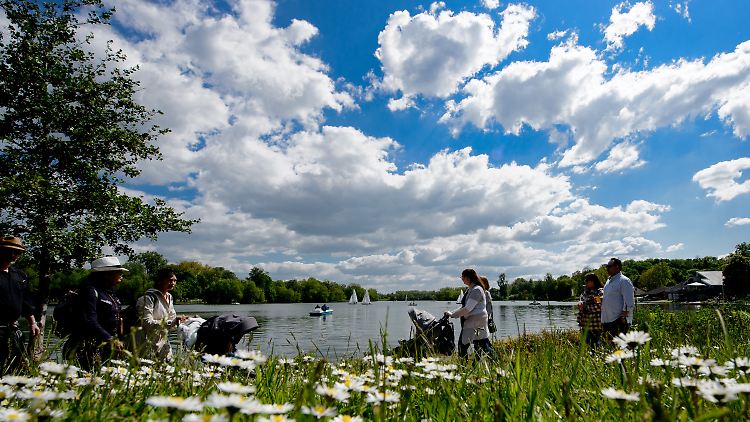 Der Göttinger Kiessee, auf dem Segelboote und Tretboote unterwegs sind, ist nur eine der grünen Oasen der Stadt.