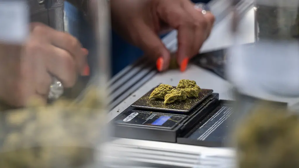 Zwei-Berliner-Bezirke-planen-Cannabisverkauf-in-Fachgeschaeften