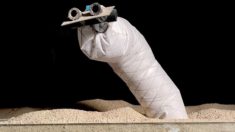 Der neue Grabe-Roboter könnte eingesetzt werden bei der Entnahme von Bodenproben, beim Suchen und Retten oder  bei der Erkundung anderer Himmelskörper.