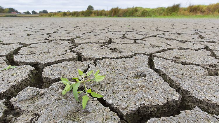 "2018 und 2019 waren ausgeprägte Dürrejahre."