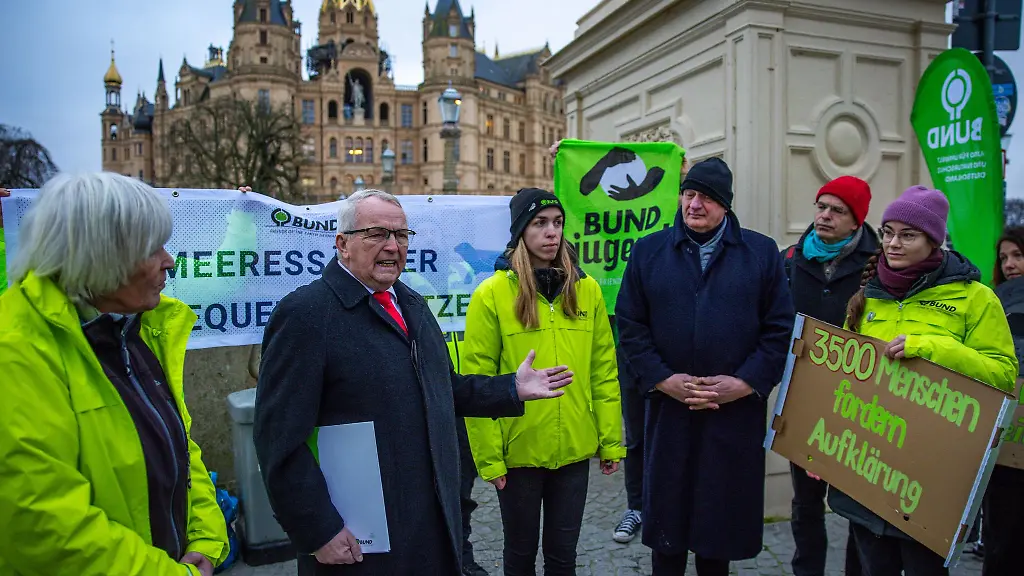 Naturschuetzer-fordern-nach-Robbensterben-Schutzmassnahmen-fuer-Meeressaeuger