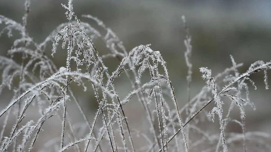 Zunaechst-dominieren-Regen-und-Glaette-die-Aussichten-bevor-es-zum-Ende-der-Woche-laut-DWD-freundlicher-wird