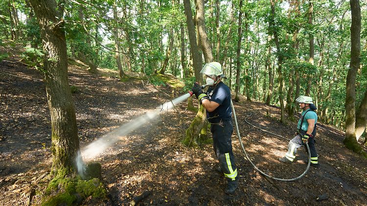 Feuerwehrleute bekämpfen einen Waldbrand in einem Hang oberhalb der Mosel bei Koblenz.