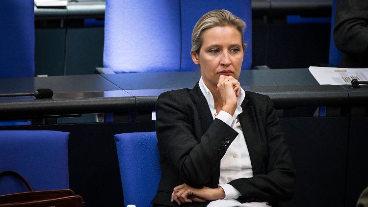 Weidel führt die Fraktion seit vier Jahren.