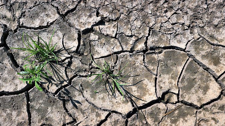 Nach den Entbehrungen der letzten Monate wollen die Deutschen aktuell mehrheitlich die verlorene Zeit nachholen - und machen sich weniger Sorgen um den Klimawandel.