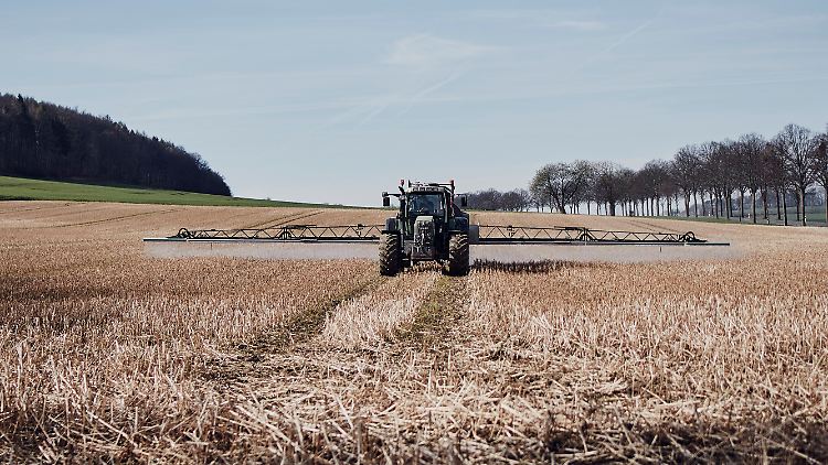 Bayer sieht sich derzeit noch gut 30.000 offenen Verfahren ausgesetzt.