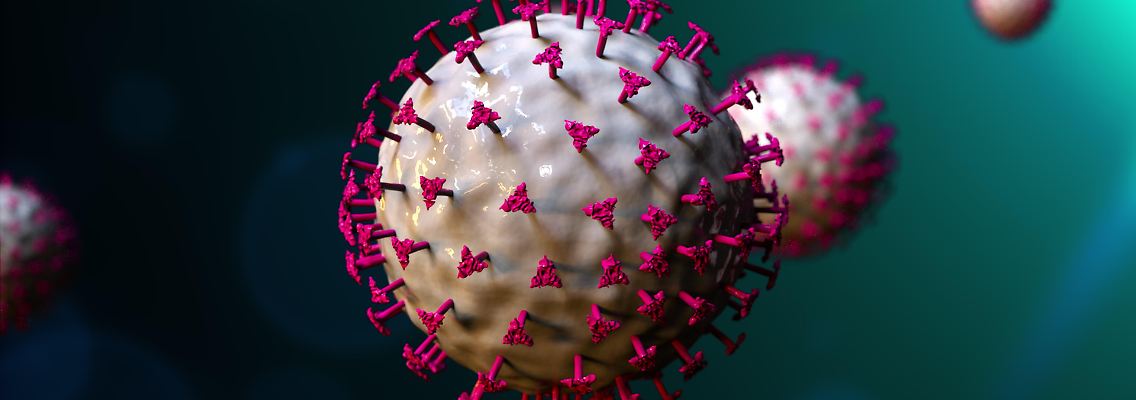 Coronavirus Delta Mutation.jpg