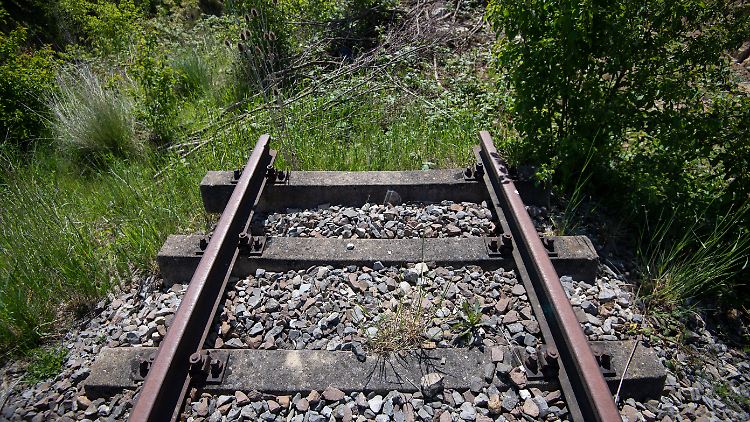 Die Deutsche Bahn will in den kommenden Jahren stillgelegte Strecken reaktivieren. 