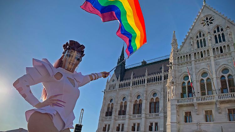 Protest vor dem ungarischen Parlament: Das umstrittene Gesetz wurde vor einer Woche gebilligt.