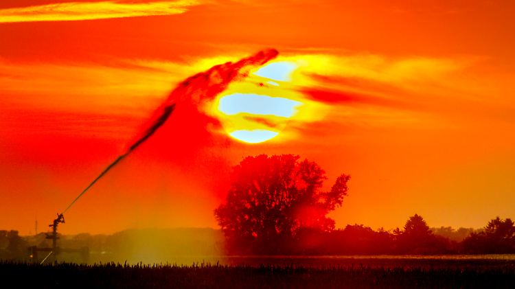 Das Leben auf der Erde werde sich an die neuen Bedingungen anpassen, sagen Klimaforscher. Menschen können das nicht.