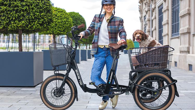 Einst war Blaupunkt bekannt für seine Autoradios, heute bietet der Hersteller ein Lastenrad wie Emma 700 an.