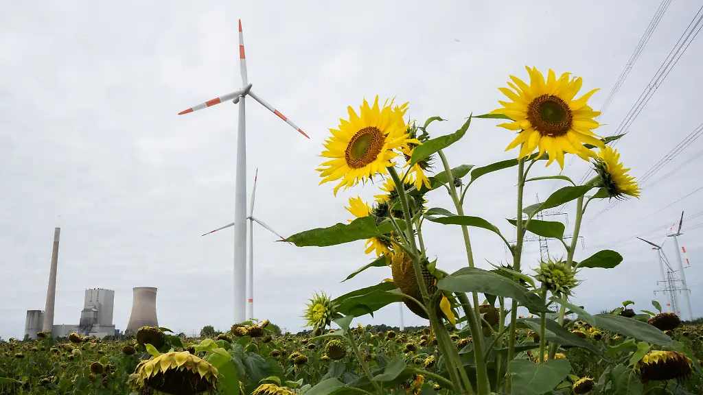 Nahe-dem-Kohlekraftwerk-Mehrum-im-Landkreis-Peine-soll-eine-Pommes-Fabrik-entstehen