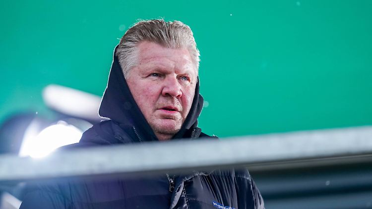 Stefan Effenberg gehört zu denen, die gern mal auf andere eindreschen.