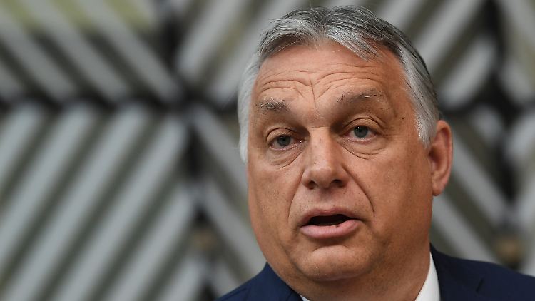 Viktor Orbán hat nicht vor, das Gesetz zurückzunehmen.