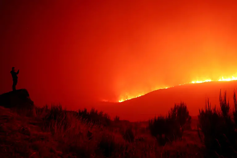 2024-12-02T100218Z-453899181-RC273AAW4W0R-RTRMADP-3-YEAR-END-2024-PHOTOS-BEST