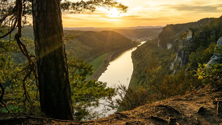 Aussichtspunkt in der Sächsischen Schweiz: Solch ein Ausblick ist Balsam für die Seele.