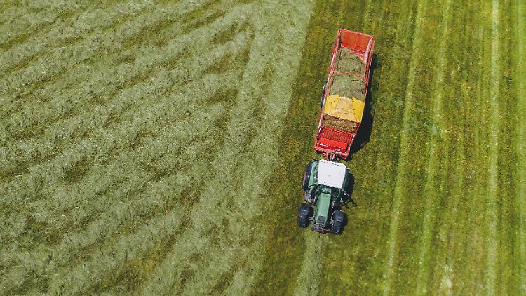 Zwischen 2021 und 2027 erhalten europäische Landwirte rund 387 Milliarden Euro an Unterstützung.