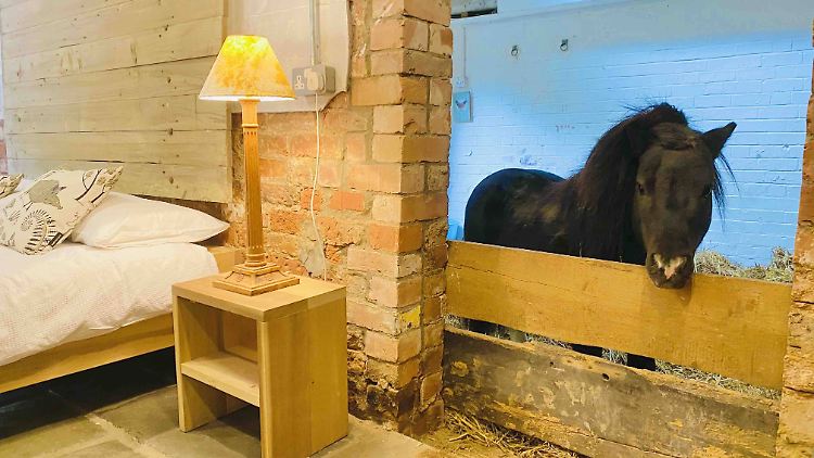 Die meisten Airbnb-Inserate versprechen angenehme Überraschungen, wie dieses im englischen Nottinghamshire. Doch auch für schlimme Vorfälle hat Airbnb Lösungen.  