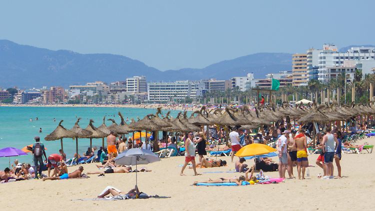 Etliche Schulklassen fuhren im Juni nach Mallorca.