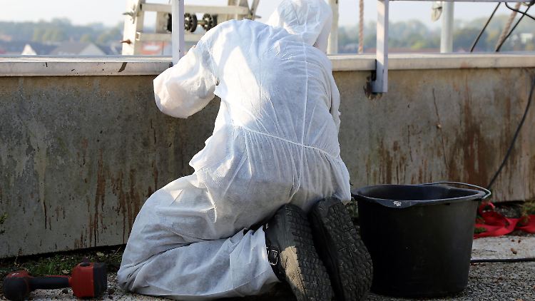 Die Verwendung von Asbest in Baumaterial ist in Deutschland seit 1993 verboten.