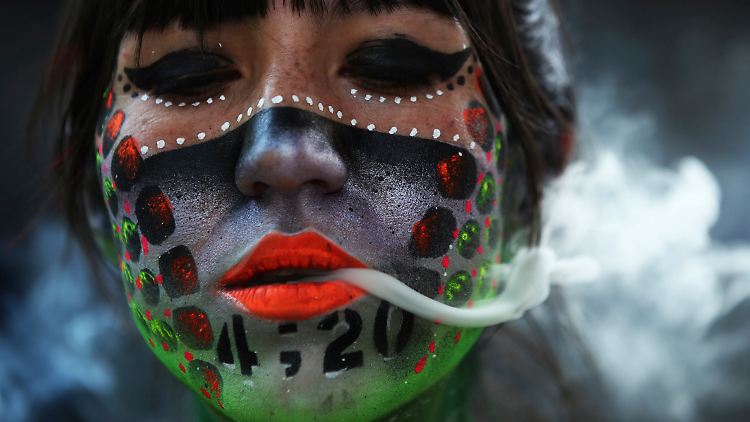 Aktivisten in Mexiko kämpfen schon seit Jahren für die Legalisierung von Cannabis.