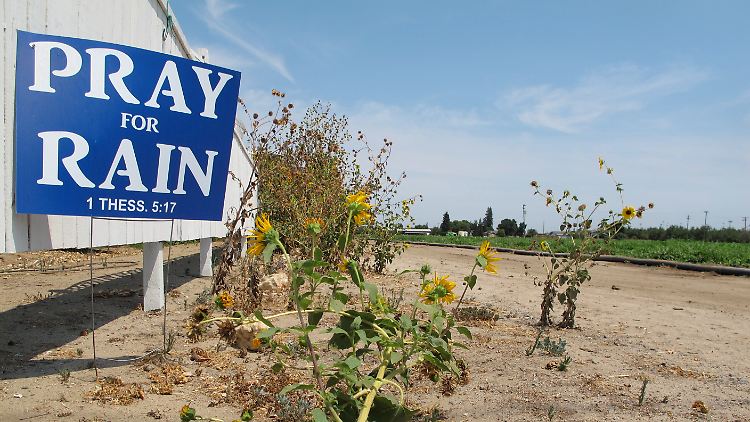 Ein Schild mit der Aufschrift "Pray for Rain" (Bete für Regen) in Stockton, Kalifornien. Der Staat, einer der wichtigsten Agrargebiete der USA, ist seit Jahren mit einer Wasserkrise konfrontiert. Ist Klimaschutz zu teuer? Nichts tun ist teurer, sagen Experten.