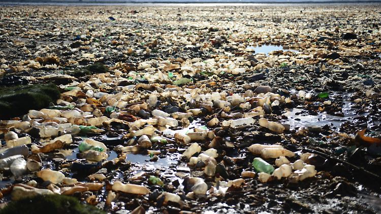 Unzählige Plastikflaschen liegen im und am Uru-Uru-See in Bolivien.
