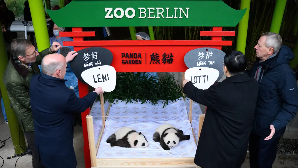 782567c3d6ba71b68cfb6094066e27e9